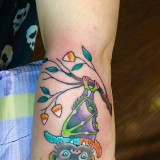 bccf64d19cb0153e9634a727d31e7504