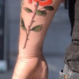 1d74597287a71270fb7fd9776312c84f