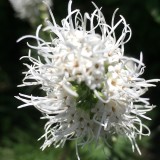 7cd4316aa42fde669ef032bd8454d0ad