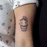 2daa127ff086c24dfbd7576d10c524b0