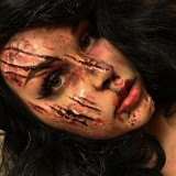 b3395b53f08544d69b79ad726e787595