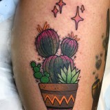 52c7fc2df7078c2be10a082c8feaddf4